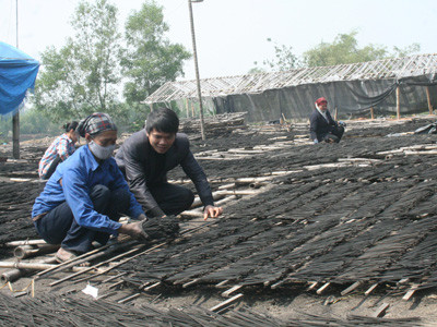 Khát vọng làm giàu của những ông chủ trẻ