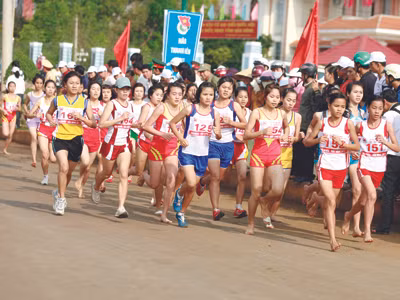 Cải tiến cả lượng và chất