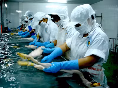 Hàng tết: Tăng lượng, giữ giá