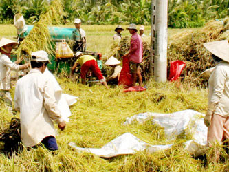 Cẩn thận với chất biến đổi gen