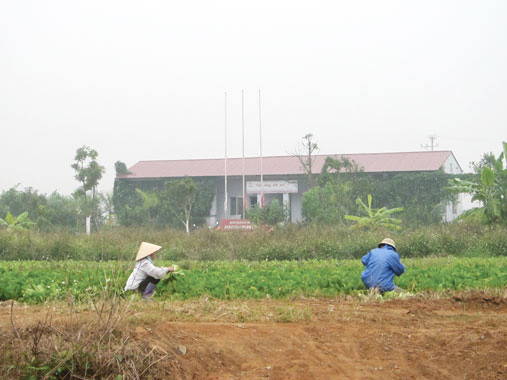 'Siêu đô thị' Mê Linh hoang vu sau 5 năm triển khai