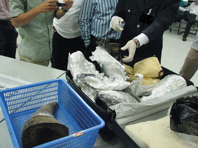 Phát hiện hơn 16kg sừng tê giác châu Phi