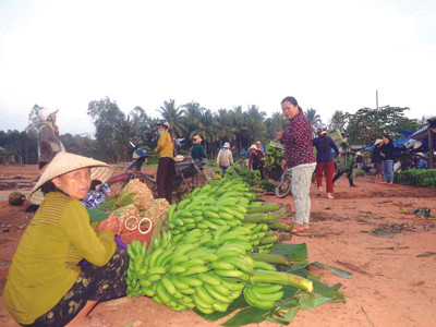 Đến trâu bò cũng ngán chuối!