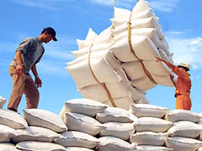 Xuất khẩu gạo tụt dốc