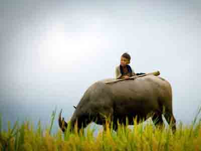 Việt Nam đẹp ngỡ ngàng trên National Geographic