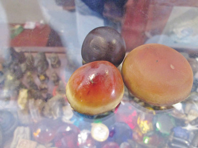 Tranh cãi buôn bán sừng tê giác: Gia tăng sức ép lên Việt Nam