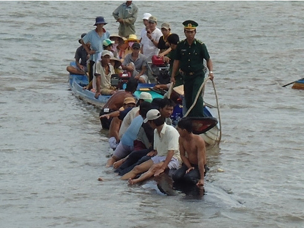 Tiếp tục theo dõi cá nhám voi vừa giải cứu