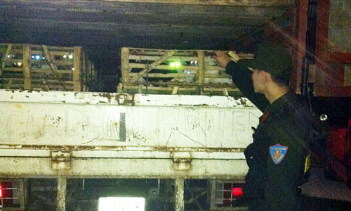 Bắt giữ hàng tấn mèo nhập lậu từ Trung Quốc