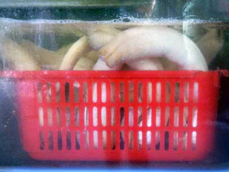 Đại gia Việt bỏ 5 triệu đồng ăn 1 con tu hài