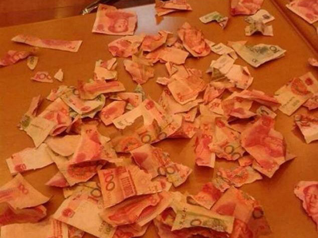 Số tiền tiết kiệm của gia đình bị cậu con trai 4 tuổi xé nát