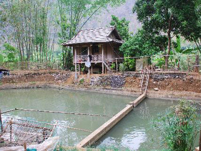 Bản nuôi cá tiến vua