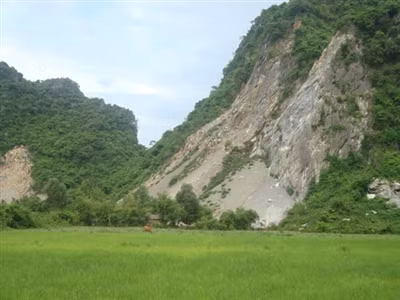 Cục Kiểm lâm yêu cầu kiểm tra, báo cáo trước ngày 30-9