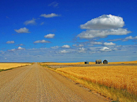 Tuần mới của bạn (19/3-25/3)