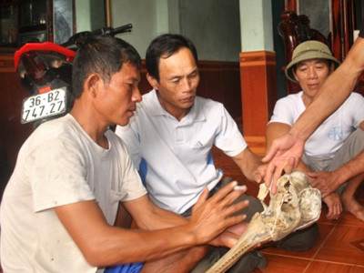 Ngư dân Thanh Hóa vớt được hộp sọ lạ