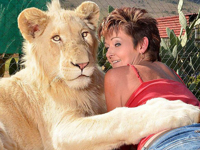 Cô gái ngủ cùng giường với sư tử trắng