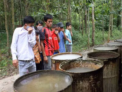 Dừng khai quật chất thải tại Cty Nicotex Thanh Thái