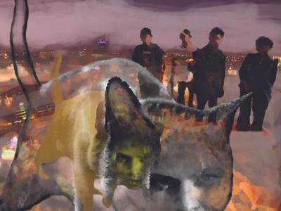 Trái tim của loài mèo hoang