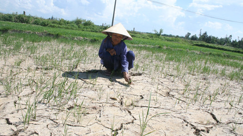An ninh điện lực