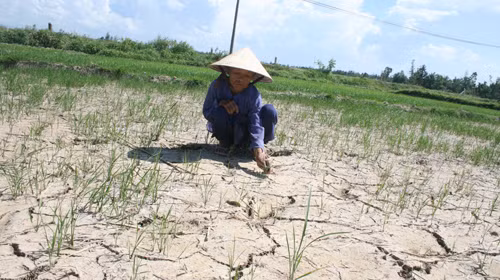 An ninh điện lực