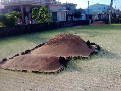 Những ngôi mộ mang tên Được trên đảo Lý Sơn