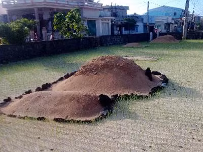 Những ngôi mộ mang tên Được trên đảo Lý Sơn