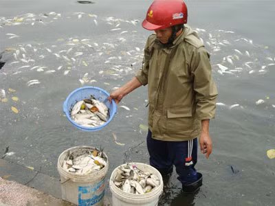 Môi trường Hà Nội: Vẫn chưa có lời giải