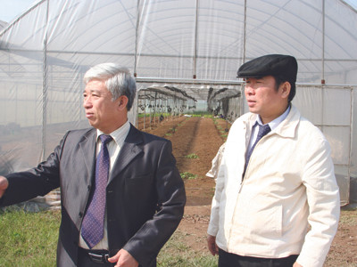 Ông tiến sỹ trồng rau nuôi gà