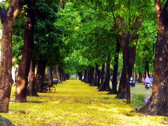 Những chốn lãng mạn như phim Hàn ở Hà Nội