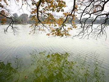 Ảnh minh họa. Nguồn: Internet