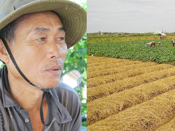 Mất giá, phá ao nuôi tôm