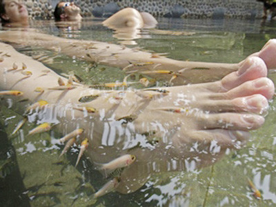 'Massage cá' có thể lây nhiễm HIV