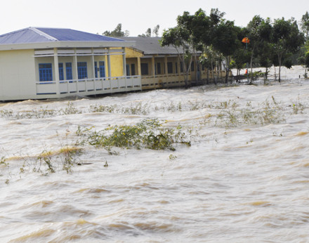 Nháo nhác nơi đỉnh lũ