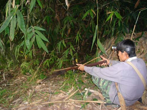 Hè độc của teen: Đi săn chuột đá