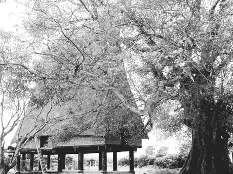 Đâu rồi hồn làng nhà Rông?