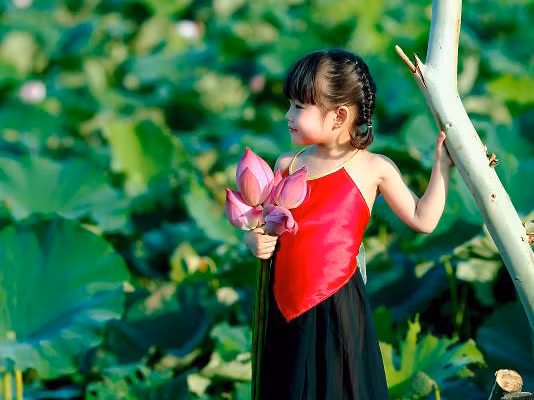 'Siêu mẫu' nhí duyên dáng bên hoa sen