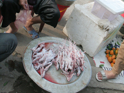 Săn chuột đồng