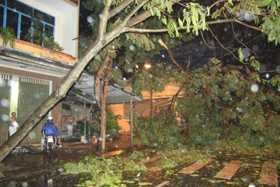 Bão Nari tấn công Đà Nẵng, sóng vò gió giật liên tục