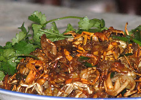 Nên cẩn thận khi dùng cua đồng làm thuốc