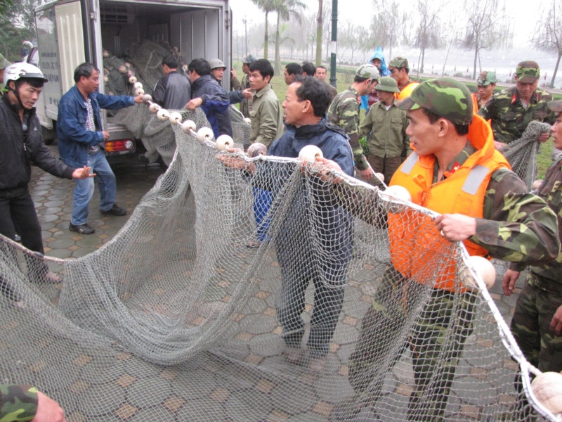 Lưới vây bắt được chở đến, triển khai kéo lưới.