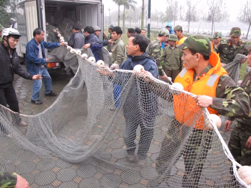 Lưới vây bắt được chở đến, triển khai kéo lưới.