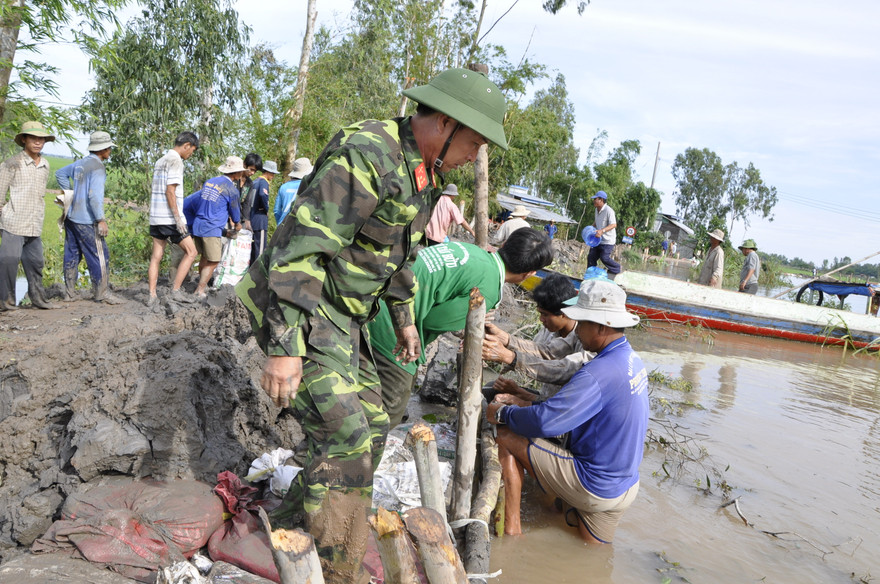 Gồng mình cứu lấy đê bao