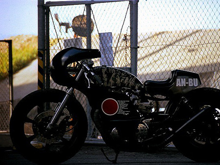 Ngắm ‘hổ dữ’ An-Bu Skull Tiger