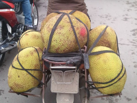 Mít non chín thơm nhờ tiêm thuốc độc?