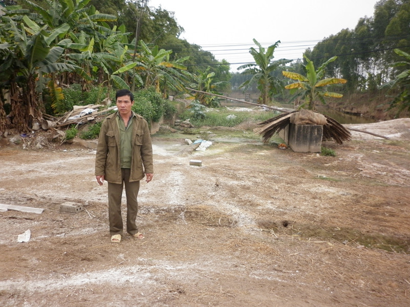 Ông Nguyễn Trọng Túc đứng bần thần bên lán vịt đã tháo dỡ sau khi tiêu hủy Ảnh: Phạm Anh