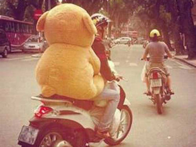 Giới trẻ độc thân rộ mốt chở gấu bông đi chơi