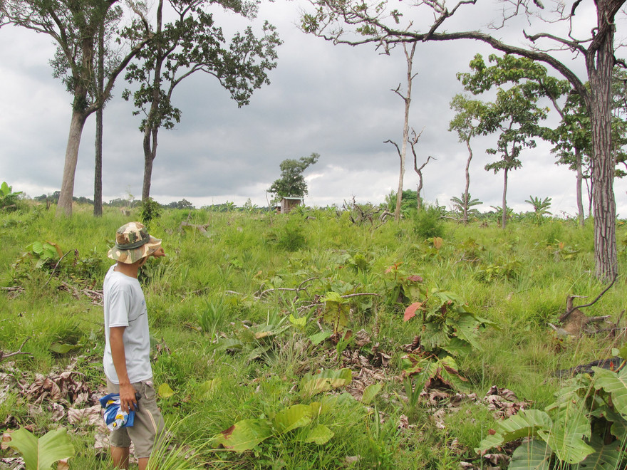 Đất do Ban QLRPH Ia Puch được UBND huyện Chư Prông cấp cho ông Nguyễn Văn Ngọc