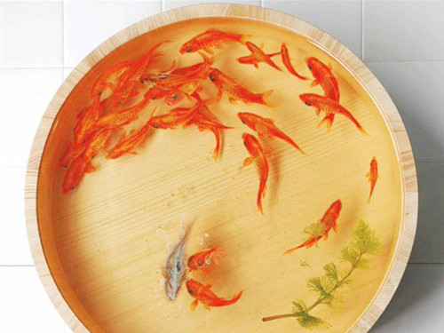 Siêu phẩm... cá vàng 3D như thật