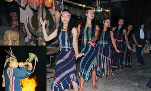 Già làng lướt web, phóng ô tô vù vù