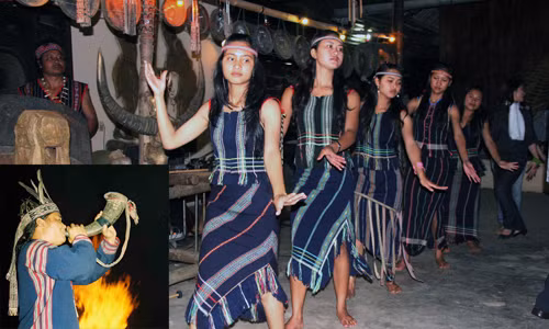 Già làng lướt web, phóng ô tô vù vù