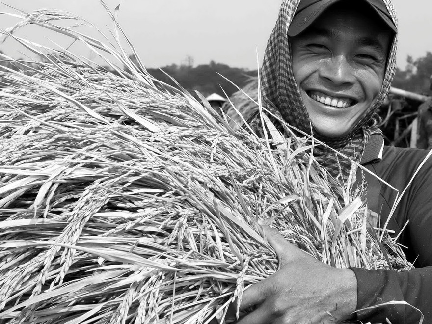 Vinh danh Hạt Ngọc Việt môi trường xanh cho cánh đồng vàng